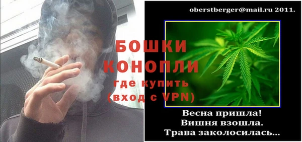 дживик Богородск