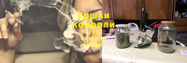 стаф Бородино