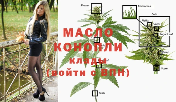 стаф Бородино