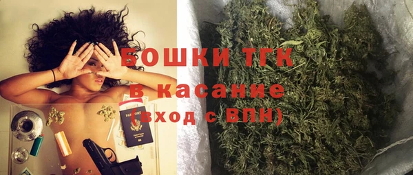 дживик Богородск