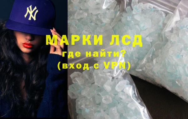 шишки Беломорск