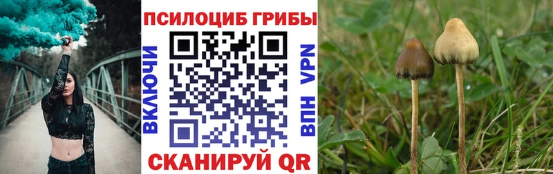 Псилоцибиновые грибы GOLDEN TEACHER Бежецк